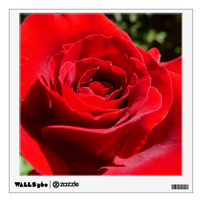 Bright Red Rose Flower Beautiful Floral Wall Sticker (Front)