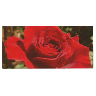 Bright Red Rose Flower Beautiful Floral Wood Flash Drive