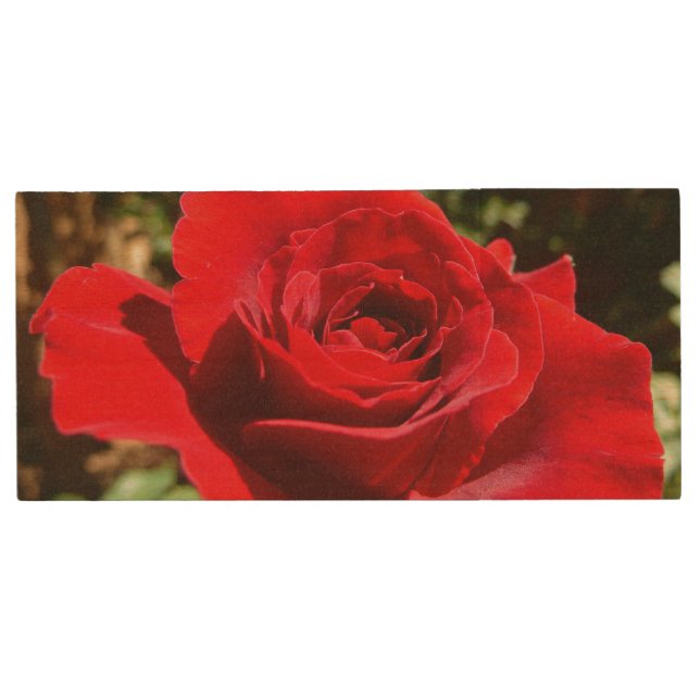 Bright Red Rose Flower Beautiful Floral Wood Flash Drive (Front)