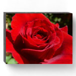 Bright Red Rose Flower Beautiful Floral Wooden Box Sign
