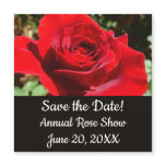 Bright Red Rose Flower Save the Date