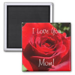 Bright Red Rose Mom Magnet