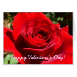 Bright Red Rose Valentine's Day Card