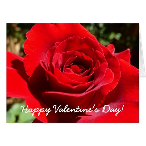 Bright Red Rose Valentines Day Card