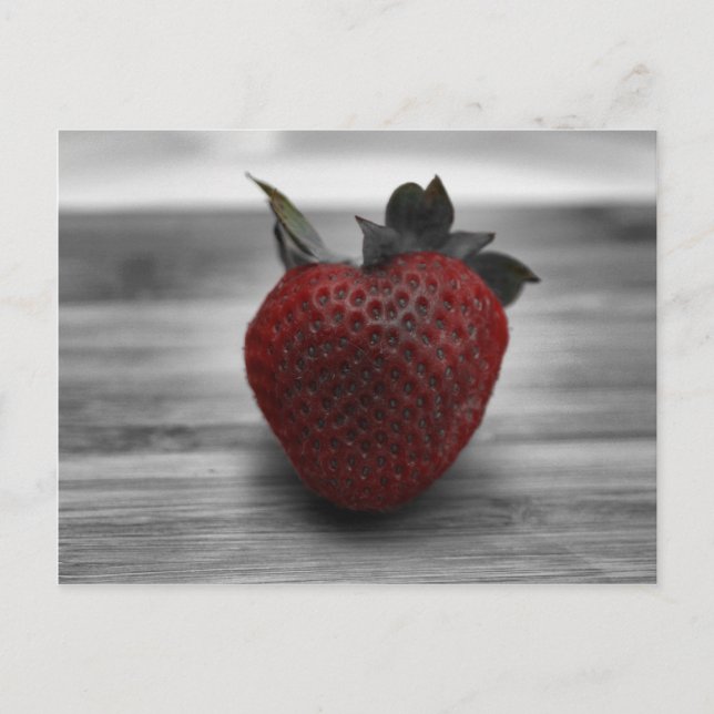 Bright Red Strawberry on Black and White Postcard (Front)