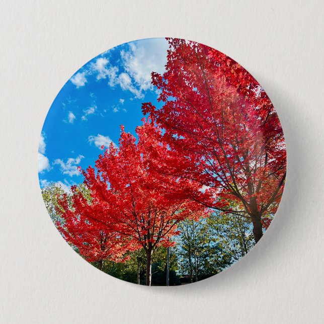 Bright Red Tree Leaves In Autumn Button (Front)
