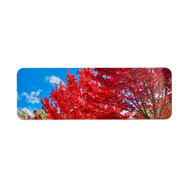 Bright Red Tree Leaves In Autumn Label (Front)