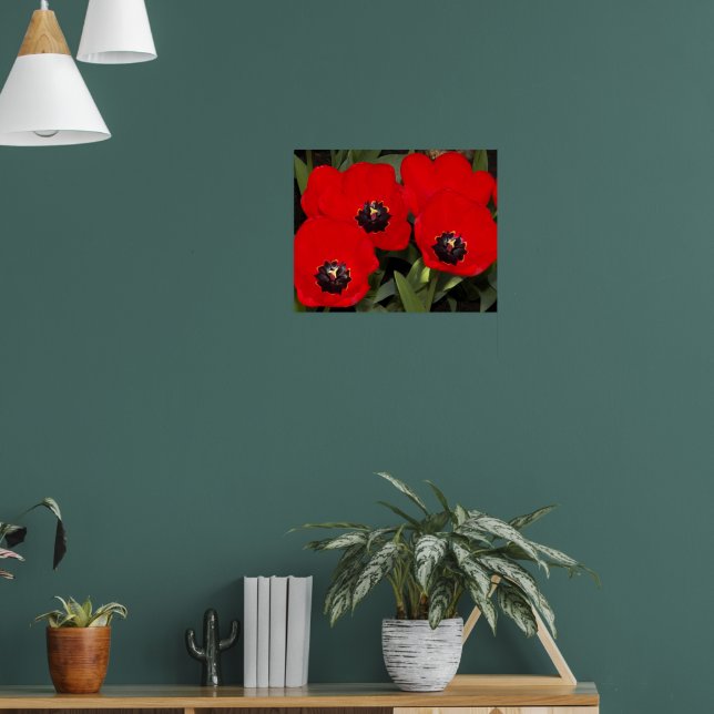 Bright Red Tulips Floral Poster (Living Room 1)