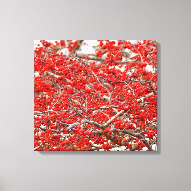 Bright Red Winterberries Holly Tree Berries Canvas Print (Front)