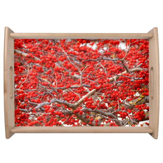 Bright Red Winterberries Holly Tree Berries Serving Tray (Front)