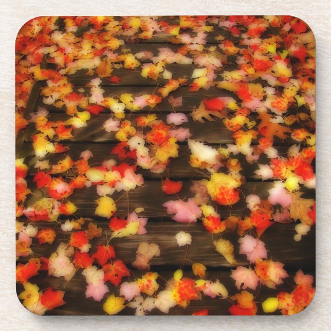Bright Red Yellow Autumn Maple Leaves Beverage Coaster (Front)