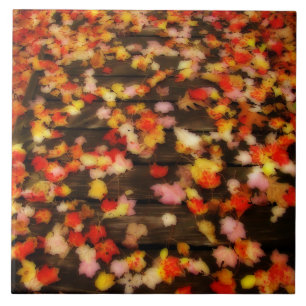 Bright Red Yellow Autumn Maple Leaves Ceramic Tile