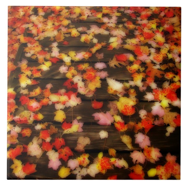 Bright Red Yellow Autumn Maple Leaves Ceramic Tile (Front)