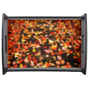 Bright Red Yellow Autumn Maple Leaves Serving Tray