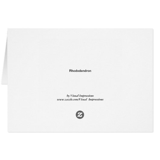 Bright Rhododendron in electric colors! (Back Horizontal)