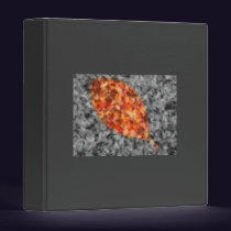 Bright Shadows Binder