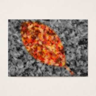 Bright Shadows Bookmarks
