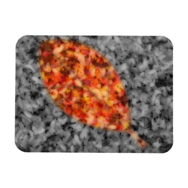 Bright Shadows Flexible Magnet (Horizontal)