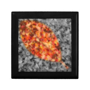 Bright Shadows Gift Box