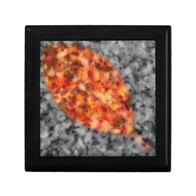 Bright Shadows Gift Box (Front)