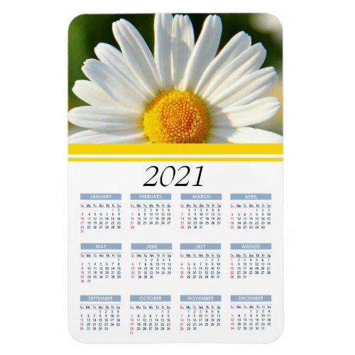 Bright Shasta Daisy  2021 Floral Calendar Magnet