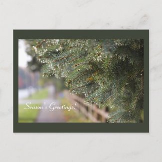 Bright Shimmering Evergreen Needles Modern Holiday