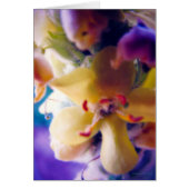 Bright Spring Flower Cards (Front)