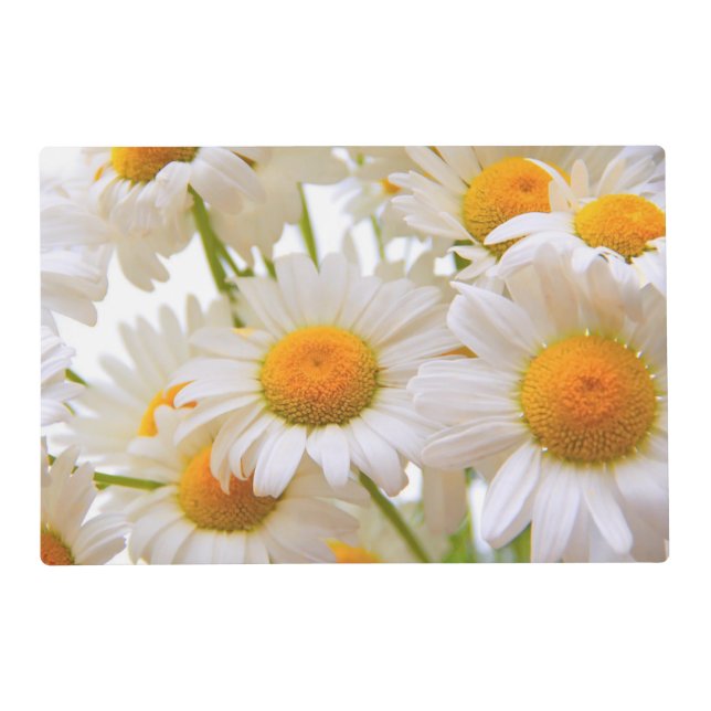 Bright Summer Daisies Flowers Placemat (Front)