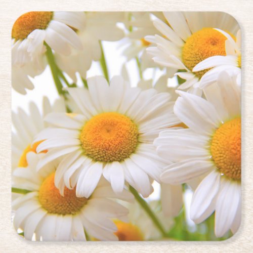 Bright Summer Daisies Flowers Square Paper Coaster