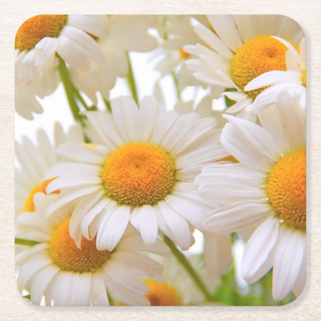 Bright Summer Daisies Flowers Square Paper Coaster (Front)