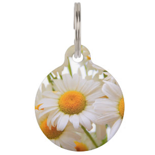 Bright Summer Daisies Pet ID Tag