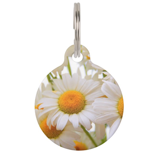 Bright Summer Daisies Pet ID Tag (Front)