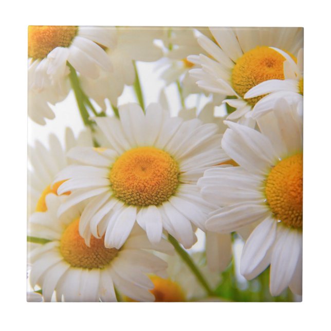 Bright Summer Daisies Photo Ceramic Tile (Front)