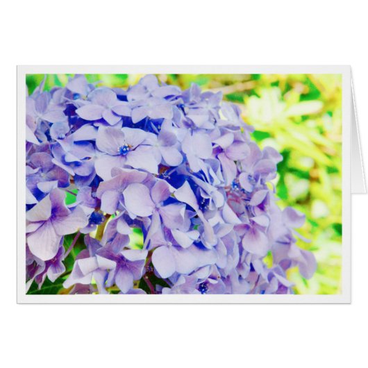 Bright Summer Hydrangea Cards (Front Horizontal)