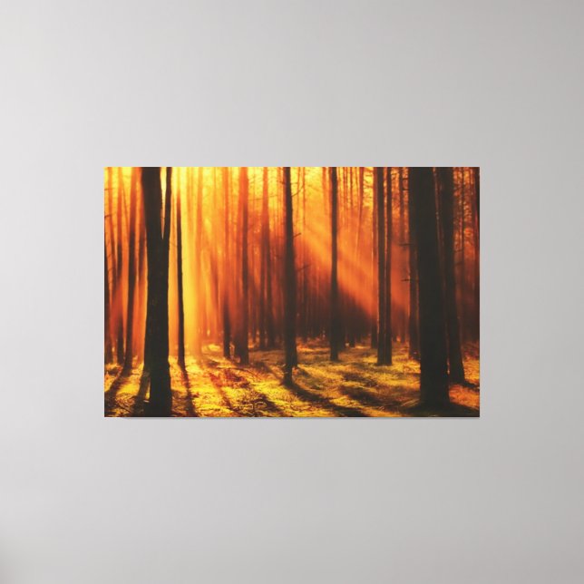 bright sun shines through the forest canvas print (Front)