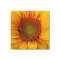 Bright Sunflower