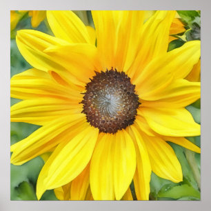 Bright Sunflower Close Up Watercolor Style Art Poster