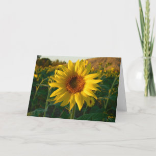 Bright Sunflower Greeting Card