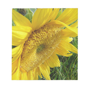 Bright sunflower notepad