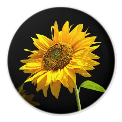 Bright Sunflower on Black Background Ceramic Knob