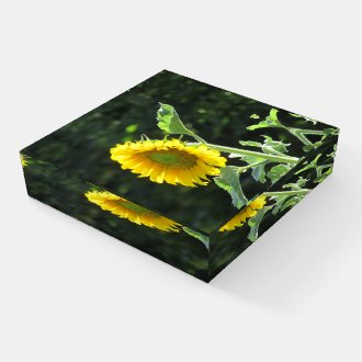 Bright Sunflower or make your own. Paperweight
