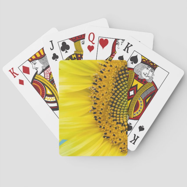 Bright Sunflower Poker Cards (Back)