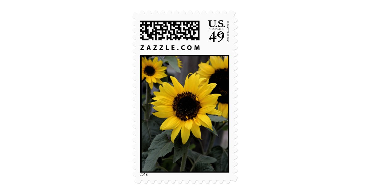 Bright Sunflower stamp | Zazzle