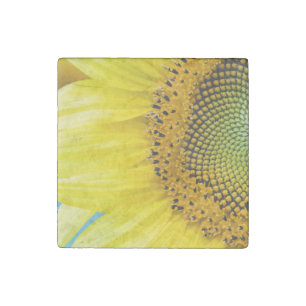 Bright Sunflower Stone Magnet