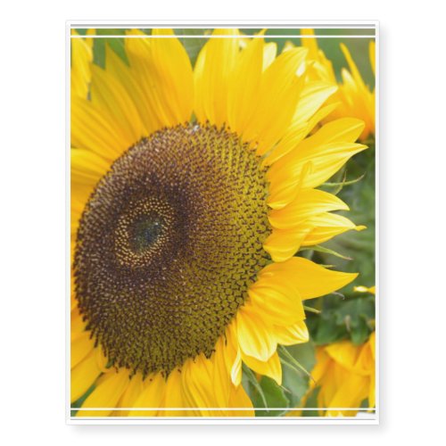 Bright Sunflowers Temporary Tattoos