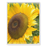 Bright Sunflowers Temporary Tattoos