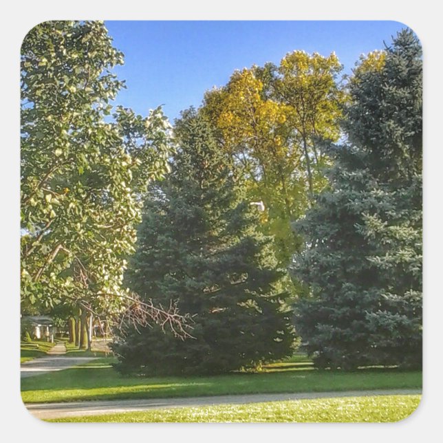 Bright Sunny Day In The Park Square Sticker (Front)