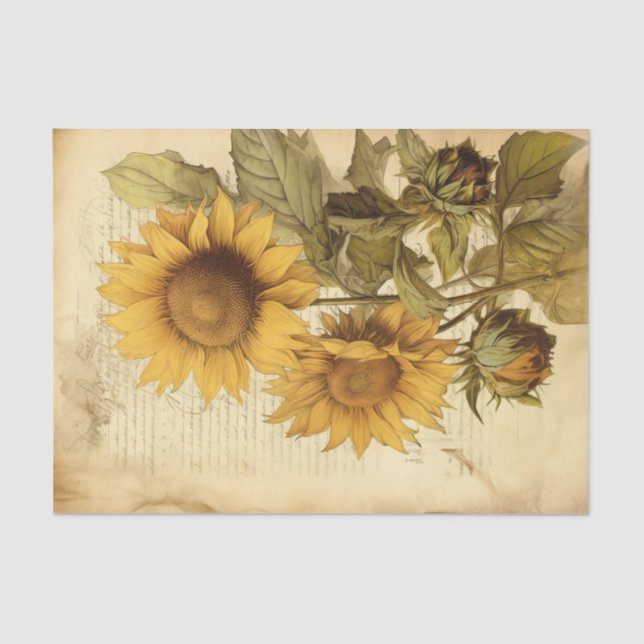 Bright Sunny Sunflowers on Vintage Script Tissue Paper (Front)