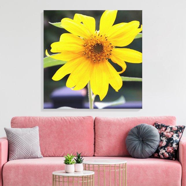 Bright Sunny Yellow Sunflower Close-up 24" x 24" Canvas Print (Insitu(LivingRoom))