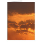 Bright Sunrise (Front)